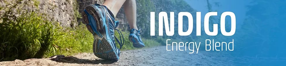אינדיגו משקה אנרגיה